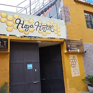 Hoja Tiran